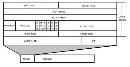 TCP报文头部