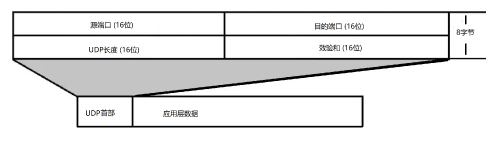 UDP报文头部